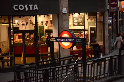 DSC_5650 (Large).JPG